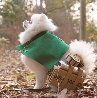 Illustration for article titled Little Dogs Make Attack on Titan Cosplay Cuter